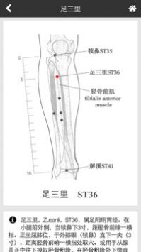 国医堂免费版截屏1