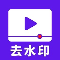 无水印视频极速版