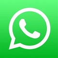 whatsapp download免费版