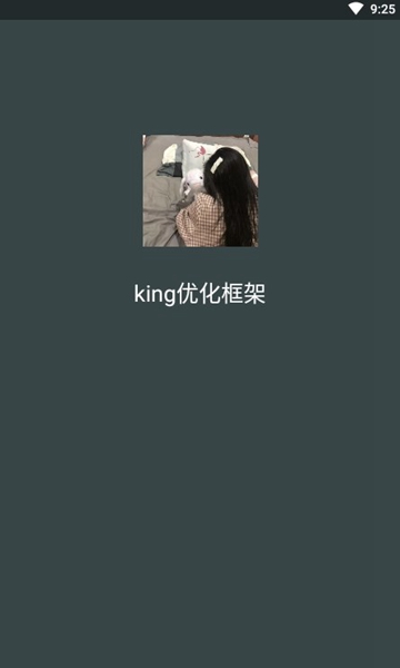 king优化框架完整版截屏2